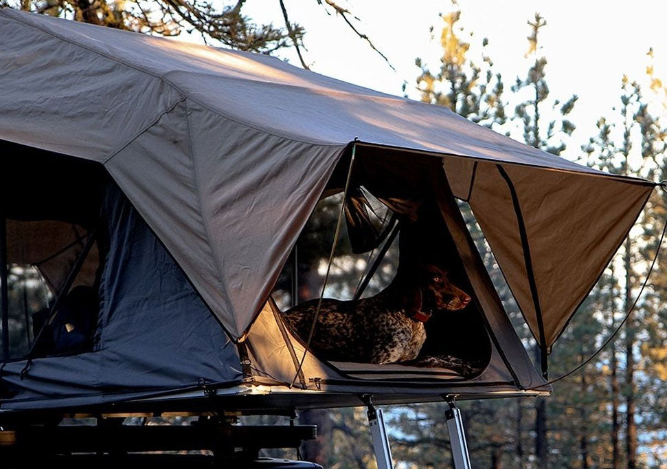 Gwagen roof top tent